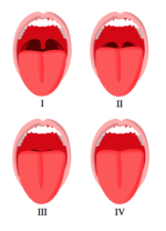 The Oxygenator Assessment - Part 2 - Medical Exam Prep