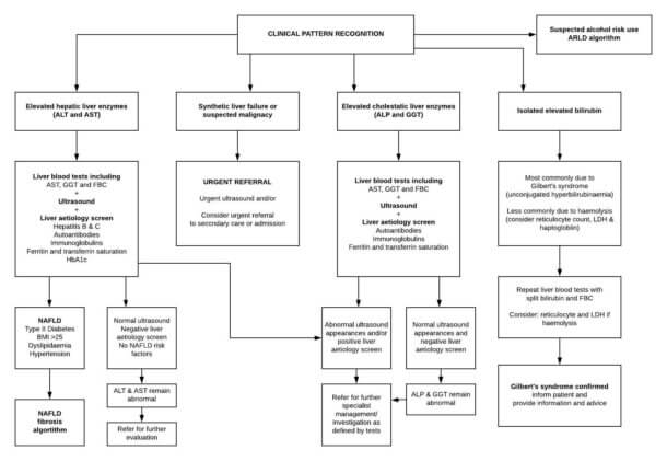 interpreting-abnormal-liver-function-tests-medical-exam-prep