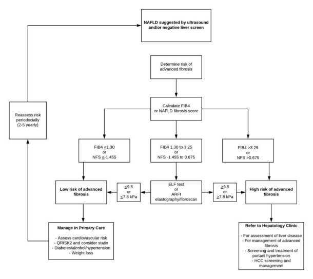 interpreting-abnormal-liver-function-tests-medical-exam-prep