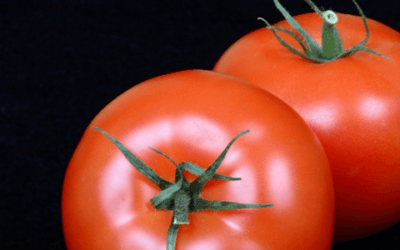 Study in Sprints, Not Marathons: The Pomodoro Method Works