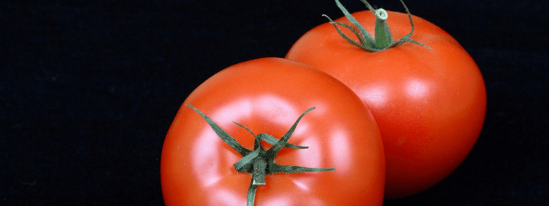 Study in Sprints, Not Marathons: The Pomodoro Method Works